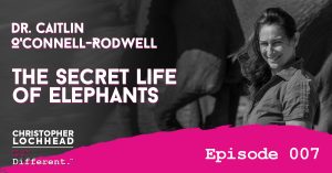 Dr. Caitlin O'Connell-Rodwell Secret Lives of Elephants Follow Your Different™ Podcast