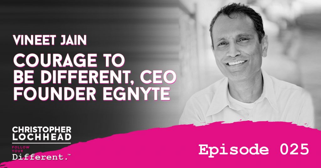 Courage to be Different w/ Vineet Jain, Founder/CEO Egnyte Follow Your Different™ Podcast